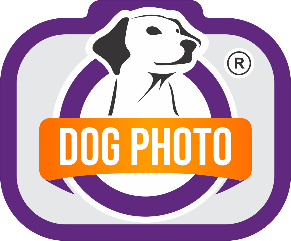 Logotipo DogPhoto